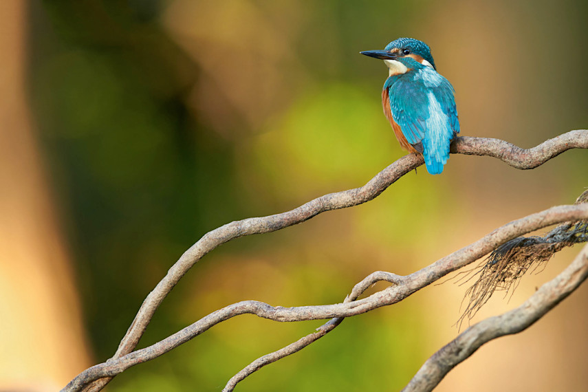 Enjoy a walk in the beautiful nature surrounding Sittingbourne