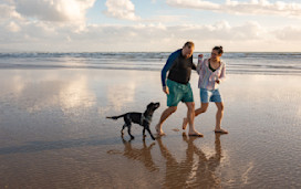 Family walking with dog on beach