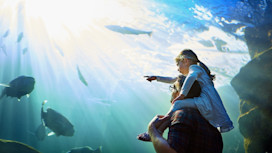 A father and his little daughter looking at an exhibit in an aquarium.