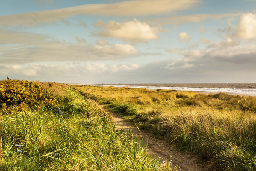 Moggs Eye Beach, Huttoft