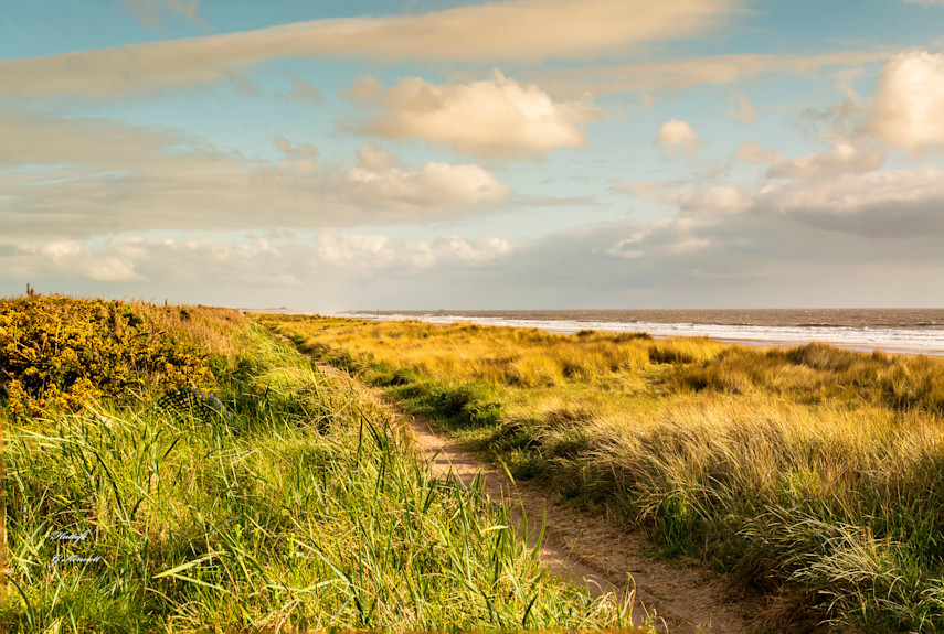 Moggs Eye Beach, Huttoft