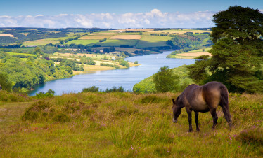 Things to do in Dunster and Exmoor - Hero