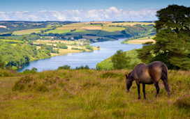 Things to do in Dunster and Exmoor - Hero