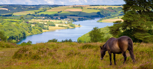 Things to do in Dunster and Exmoor - Hero