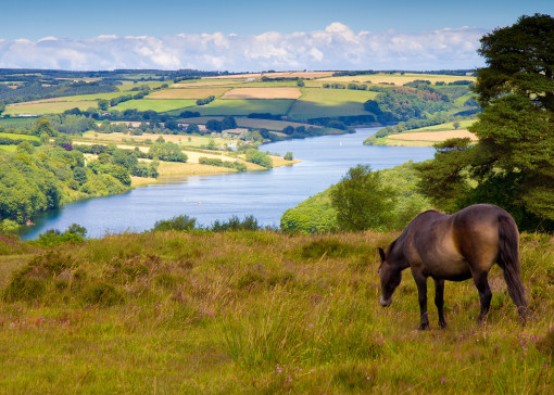 Things to do in Dunster and Exmoor 