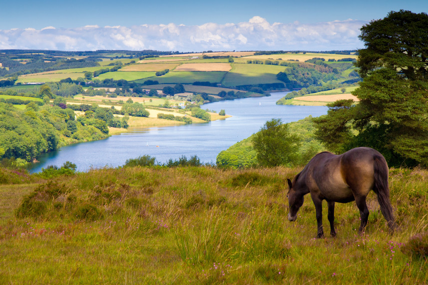 Wimbleball Lake Walking Route