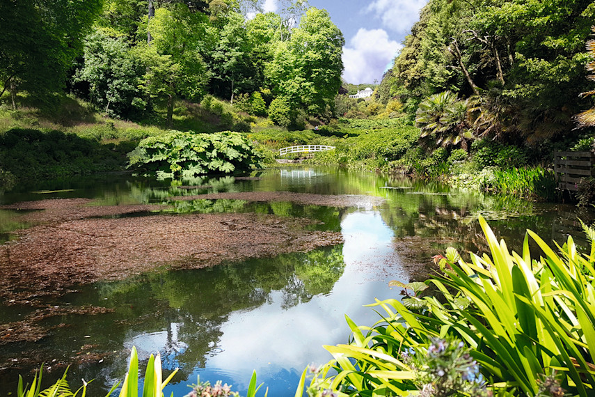 Trebah Gardens