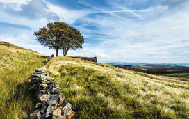 Haworth Moor, Lake District