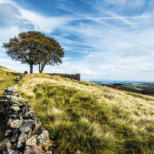 Best walks in Yorkshire