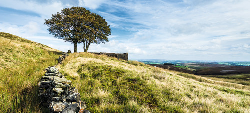 Haworth Moor, Lake District