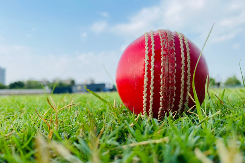 9. Somerset County Cricket Club