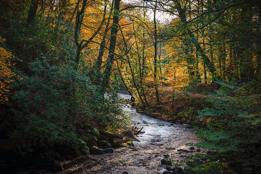 2. Dean Castle and Country Park