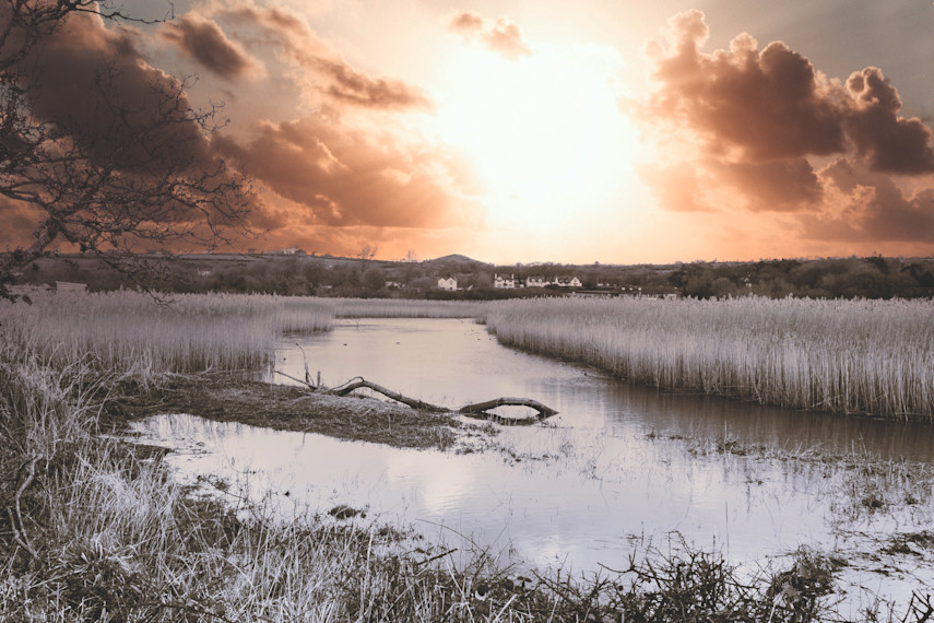 Welsh Wildlife Centre, Cilgerran