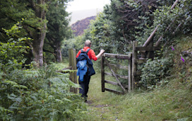 Horner Wood, Minehead