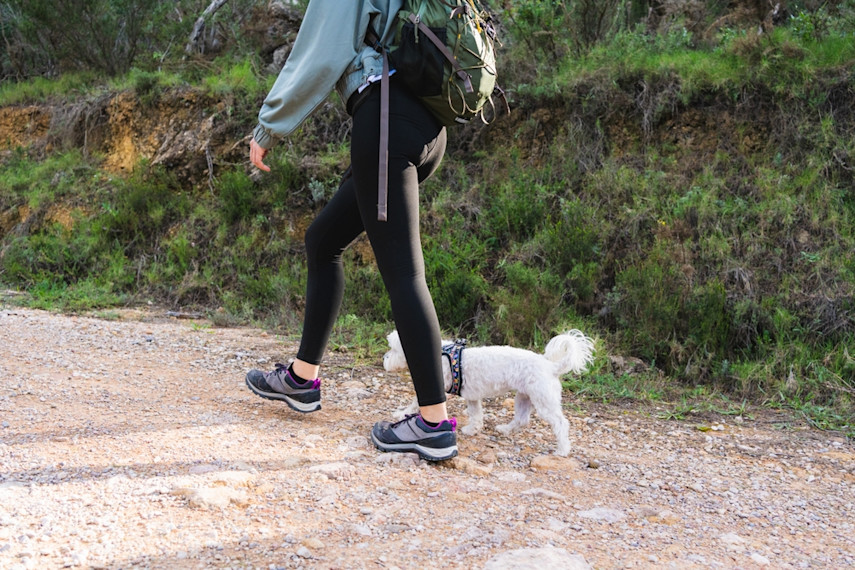 Aberaeron to Aberarth trail