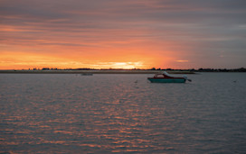 Gaze across the seawater creeks to Mersea Island at Orchards