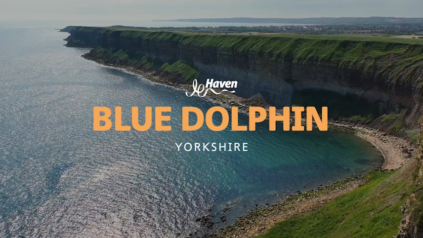 Take a closer look at Blue Dolphin