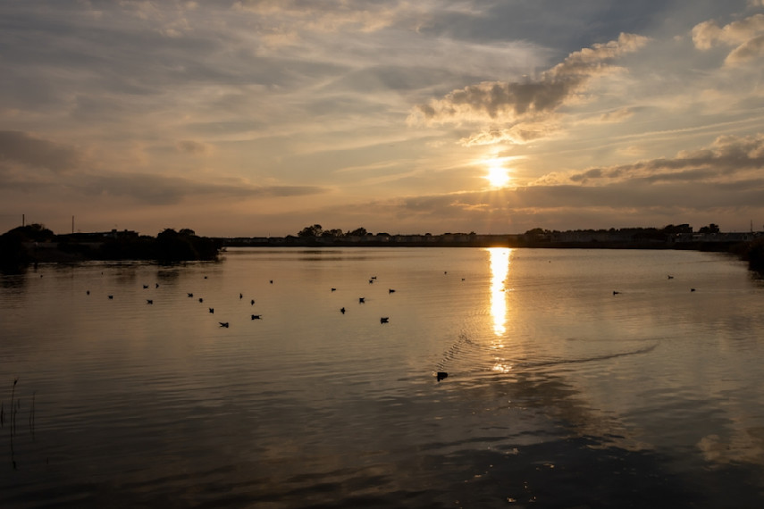 Pagham Lagoon
