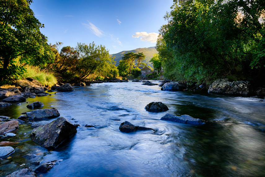 Glaslyn Wildlife