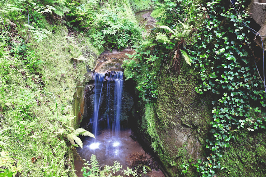 3. Shanklin Chine