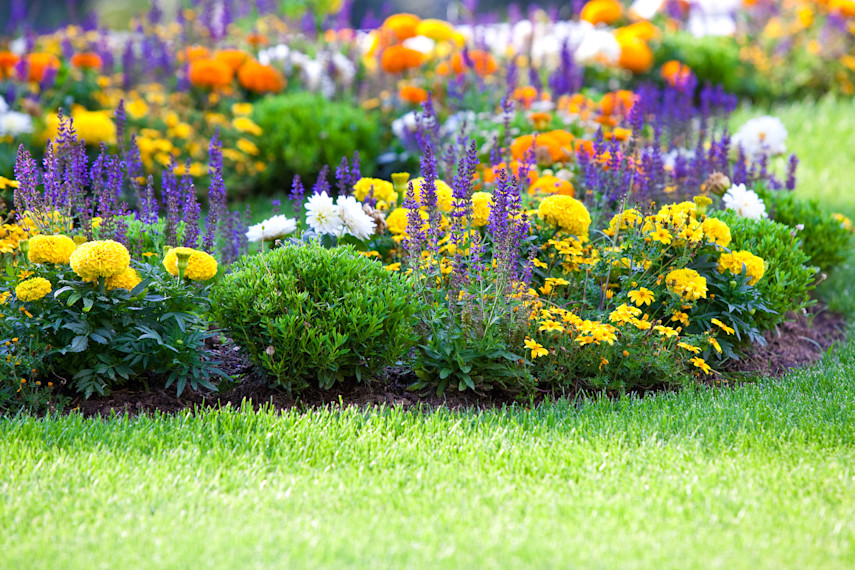 1. The Plantation Gardens walk