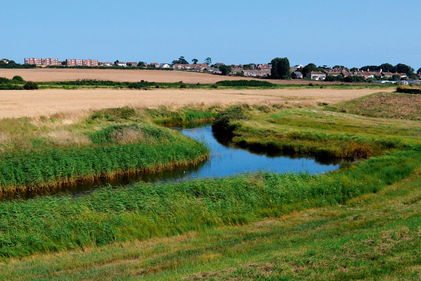 2. The Naze Nature Reserve