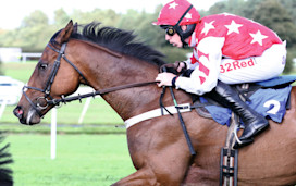 A horse and jockey compete at Market Rasen racecourse.