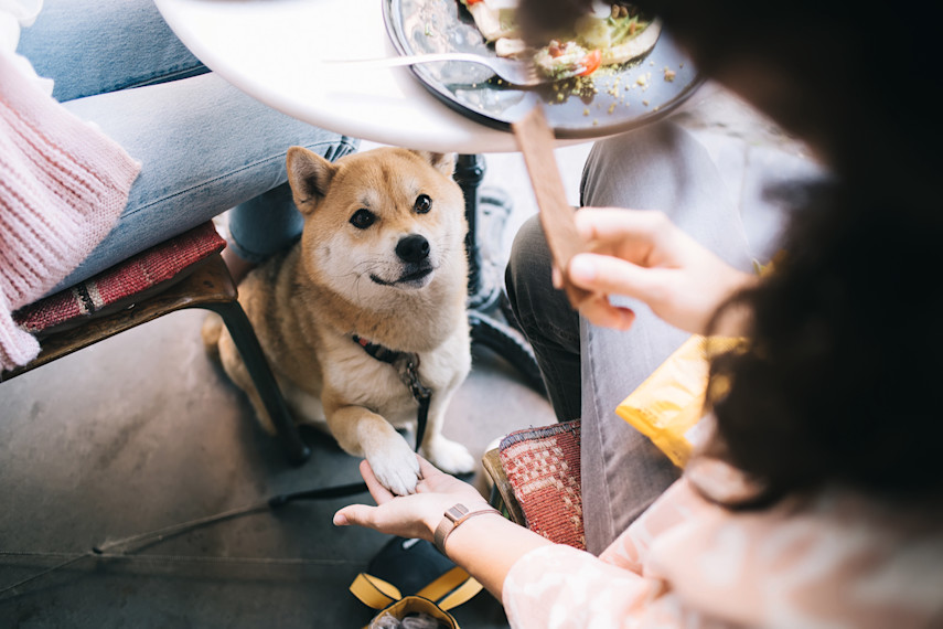 12. Grab a drink and a bite to eat