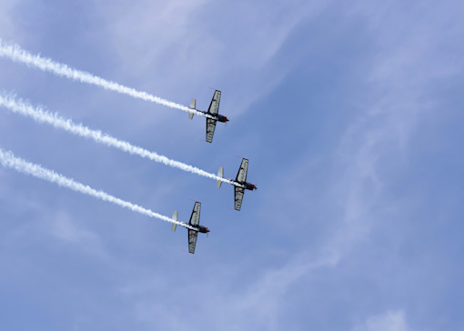 What’s on in Essex 2025