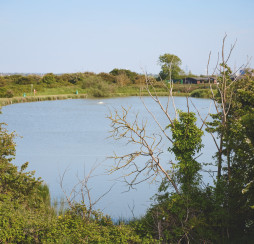 Coarse fishing at Haven