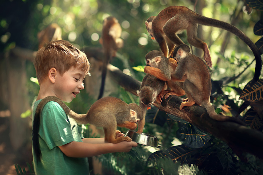 Best places to visit for babies and toddlers in Dorset