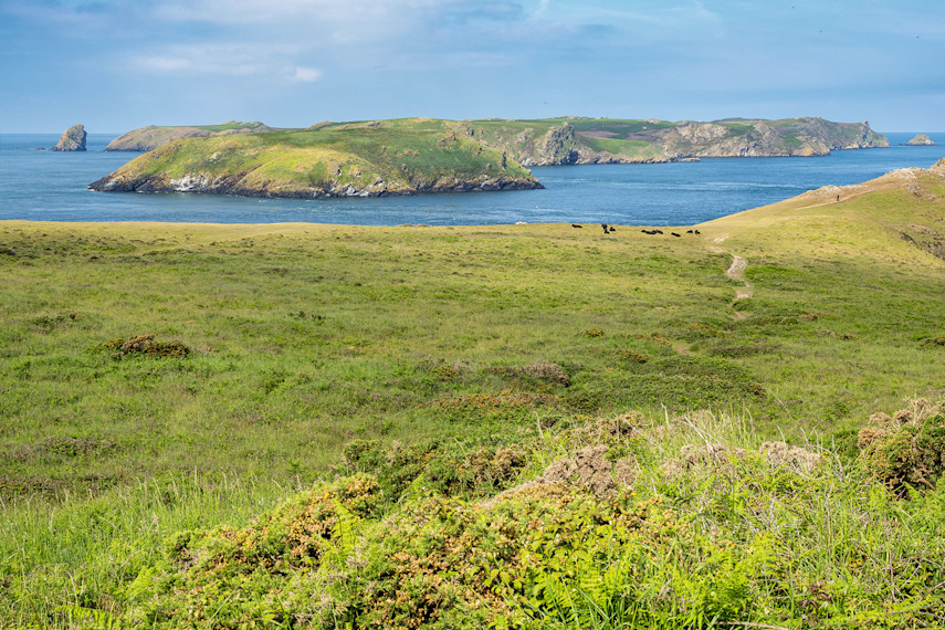 Marloes Peninsula walk