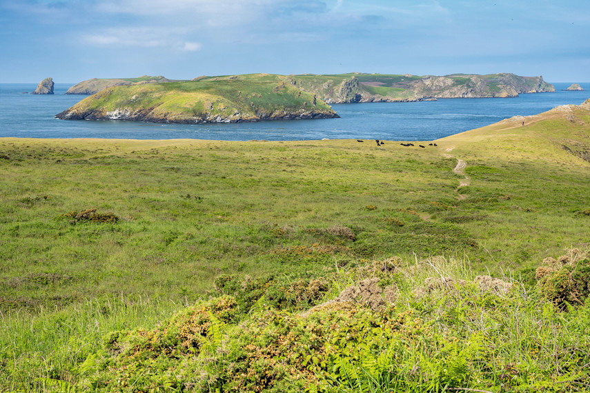 Marloes Peninsula walk 