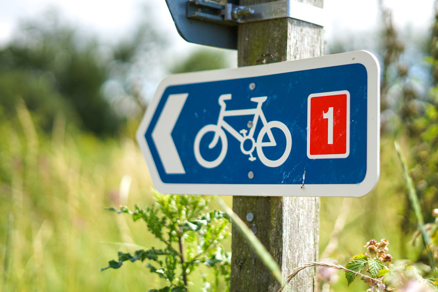 5. Hire a bike