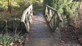 Colby Woodland Garden, Pembrokeshire