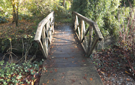 Colby Woodland Garden, Pembrokeshire