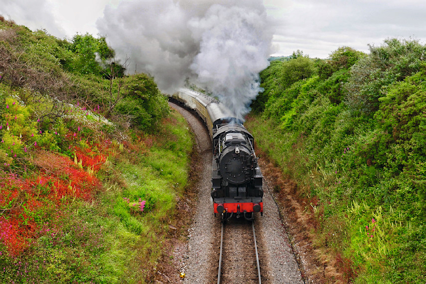 5. Dartmouth Steam Railway