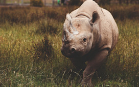 Best attractions in South Wales