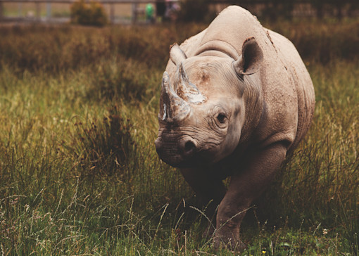 Best attractions in South Wales