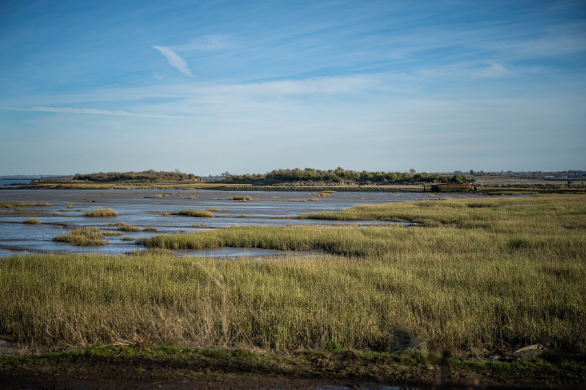 Riverside Country Park, Rainham