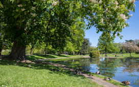 Colchester Castle Park