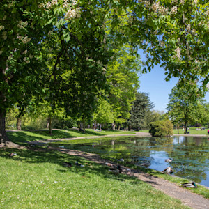 Things to do in Essex with kids