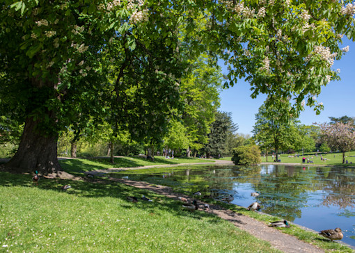 Things to do in Essex with kids