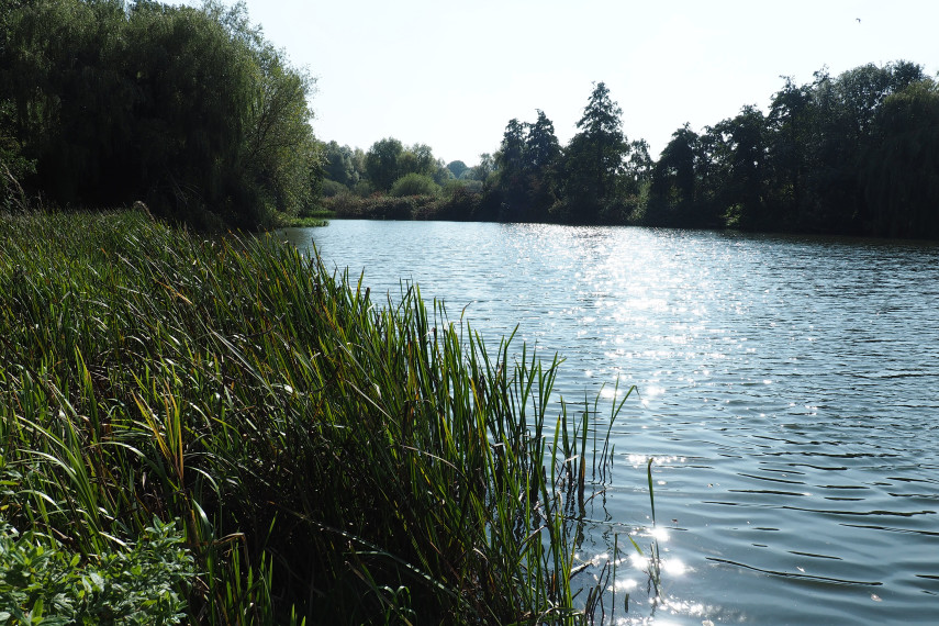 2. The UEA lake walk 