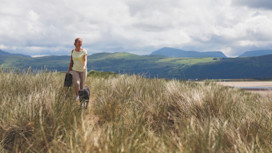 Dog walking amongst the dunes