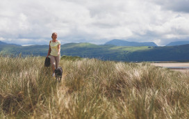 Dog walking amongst the dunes