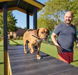 Bark Yards at Haven holiday parks