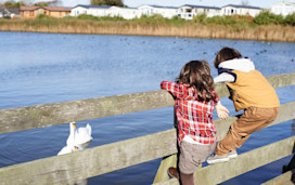 Kids admire the swans on the lagoon by Church Farm.