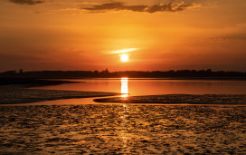 Pagham Harbour