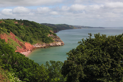 Babbacombe Downs view